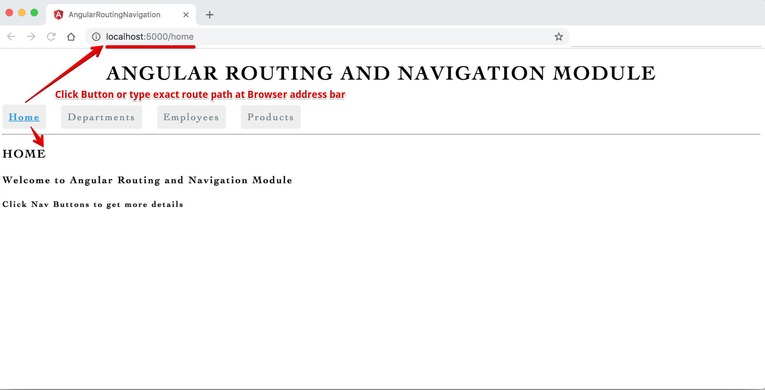 Image - Output - Angular Single Page Application (SPA) with Routing and Navigation - Home View