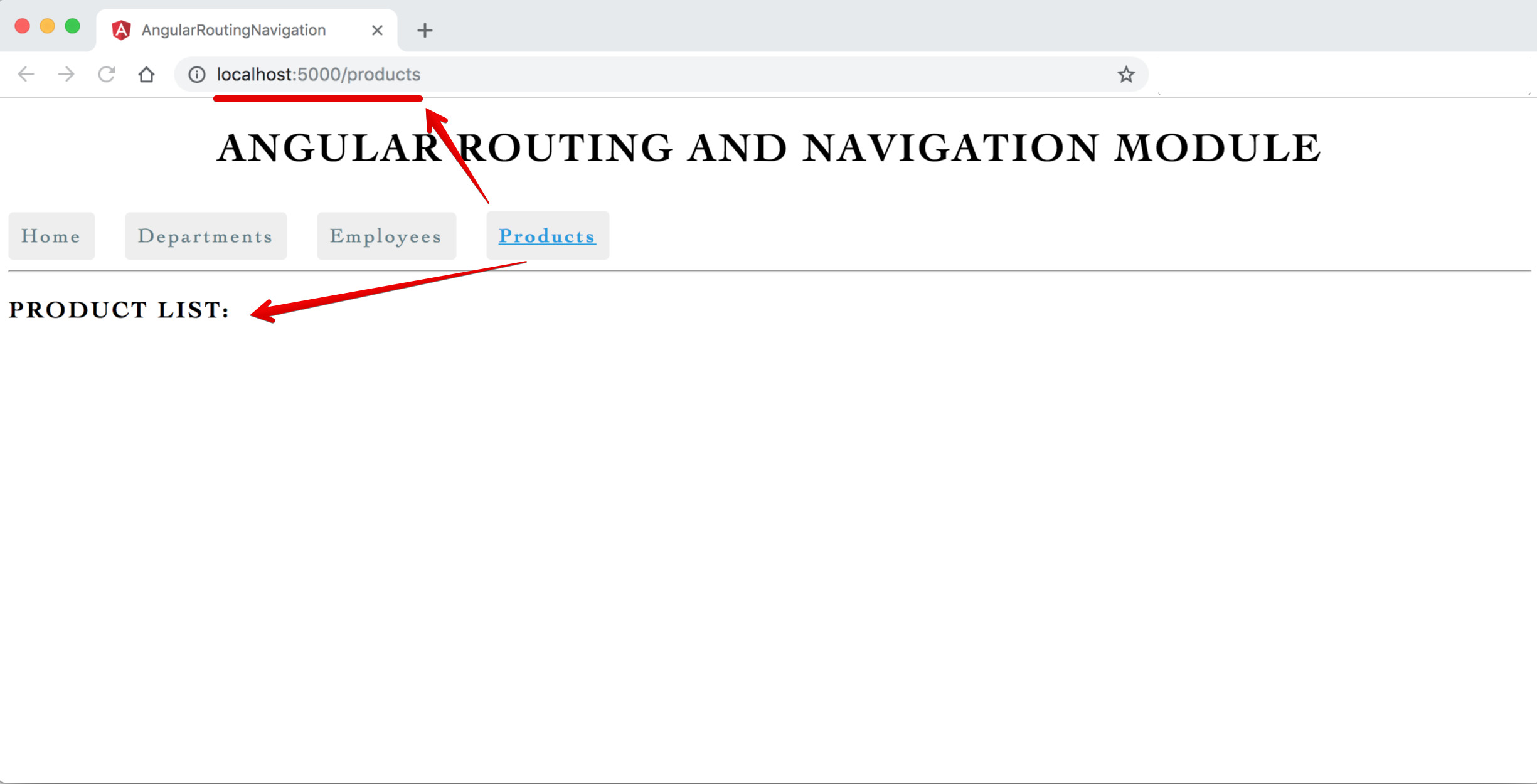 Image - Output - Angular Single Page Application (SPA) with Routing Navigation - Products View
